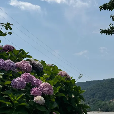 Al Ciliegio Del Turchino 멜레