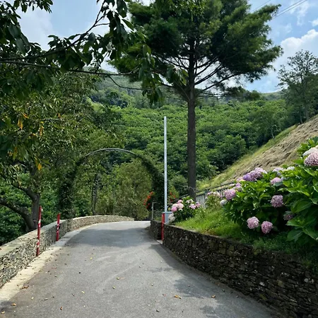 Al Ciliegio Del Turchino فندق مبيت وإفطار 3*