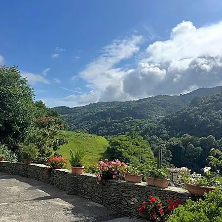 Al Ciliegio Del Turchino Mele