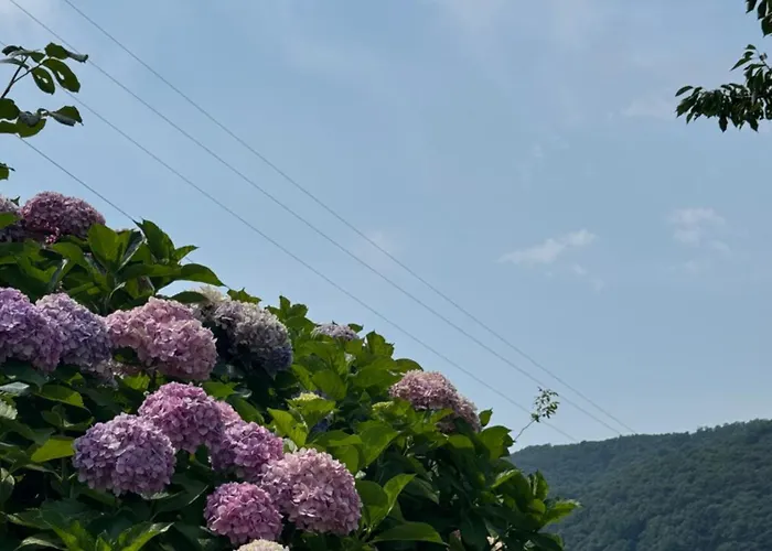 Al Ciliegio Del Turchino Mele